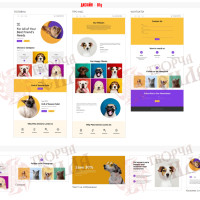 Design 01g — Order a website for a pet store. Website design for a veterinary clinic, pet breeding facility, and animal services