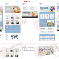 Design 02b — Website Development for a Company