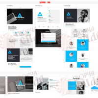 Design 06b — Website Development for an LLC