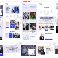 Design 09b — Professional Business Website