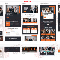 Design 23b — Professional Entrepreneur Website