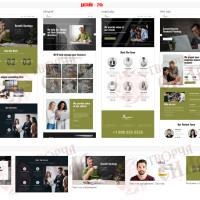 Design 24b — Order a Website for a Service Business