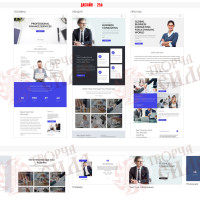 Design 25b — Small Business Website Development
