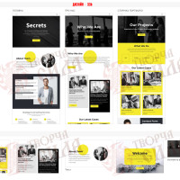 Design 33b — Website Development for a Trading Organization