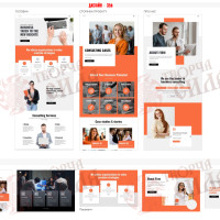 Design 35b — Professional Website for an LLC