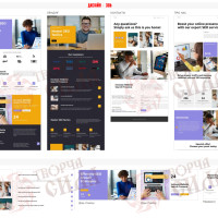 Design 38b — Turnkey Website for a Service Business