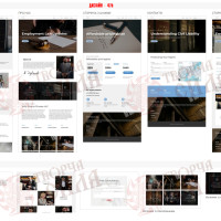Design 47b — Professional Website for a Service Business