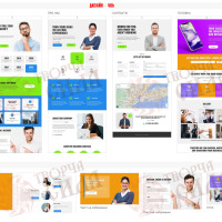 Design 48b — Order a Website for an LLC