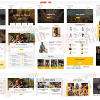 Design 06e — Order a website for a volunteer organization. Website design for a public assistance foundation.