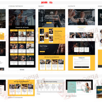 Design 02p — Create a website for a fitness club. Professional fitness center website design
