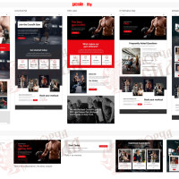 Design 05p — Order a website for a sports club. Professional sports club website design
